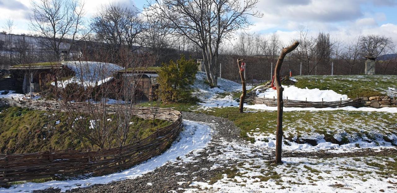 Valea Celor Doisprezece Hotel Piriu Dobreni Exterior photo